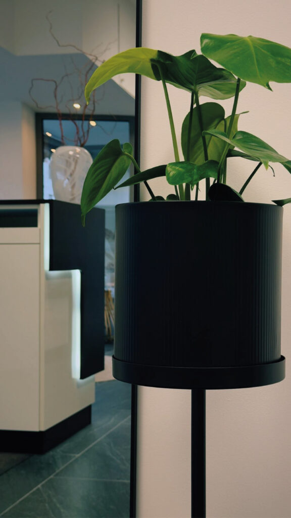 Studio9_Zeichenfläche 1